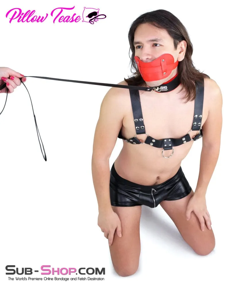2479DL      Red Stuffed Plug Panel Style Bondage Gag