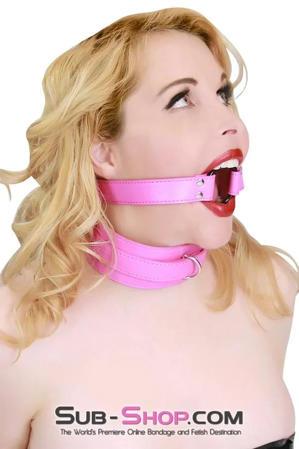 5763RS      Take The Reins Hot Pink Bondage Collar and Leash Set