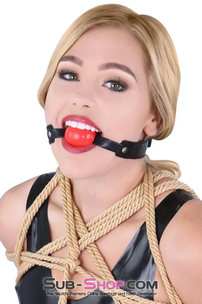 8947DL      <b>BOGO!</b> Bondage Basics Beginner’s Red Rubber Ball Gag