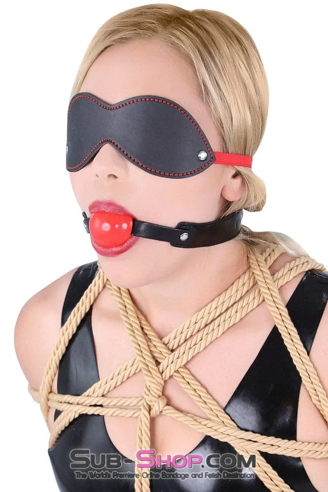 8947DL      <b>BOGO!</b> Bondage Basics Beginner’s Red Rubber Ball Gag