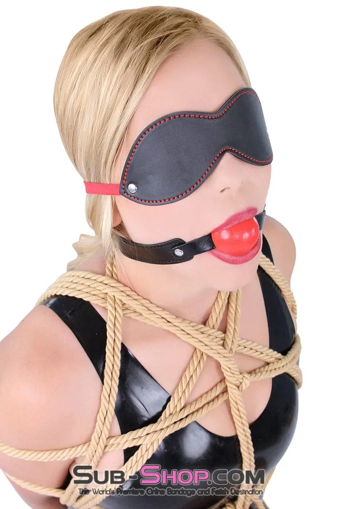 8947DL      <b>BOGO!</b> Bondage Basics Beginner’s Red Rubber Ball Gag