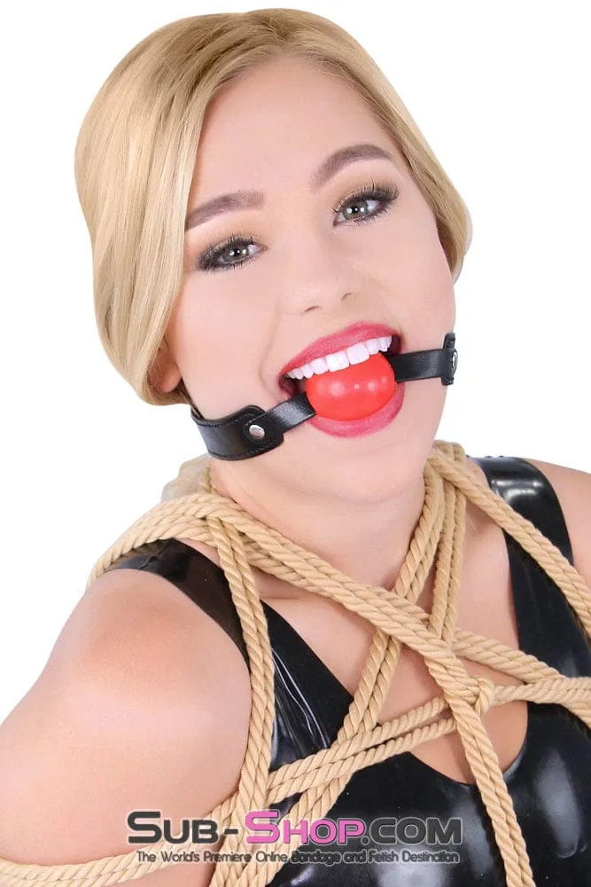 8947DL      <b>BOGO!</b> Bondage Basics Beginner’s Red Rubber Ball Gag