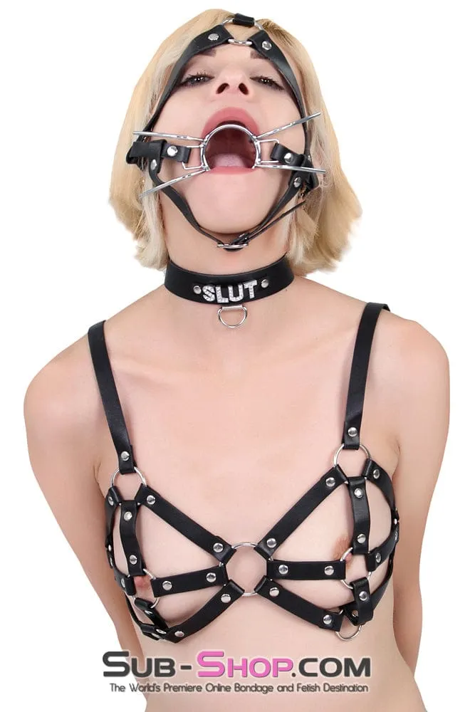 9897RS      Breast Cage Bondage Bra