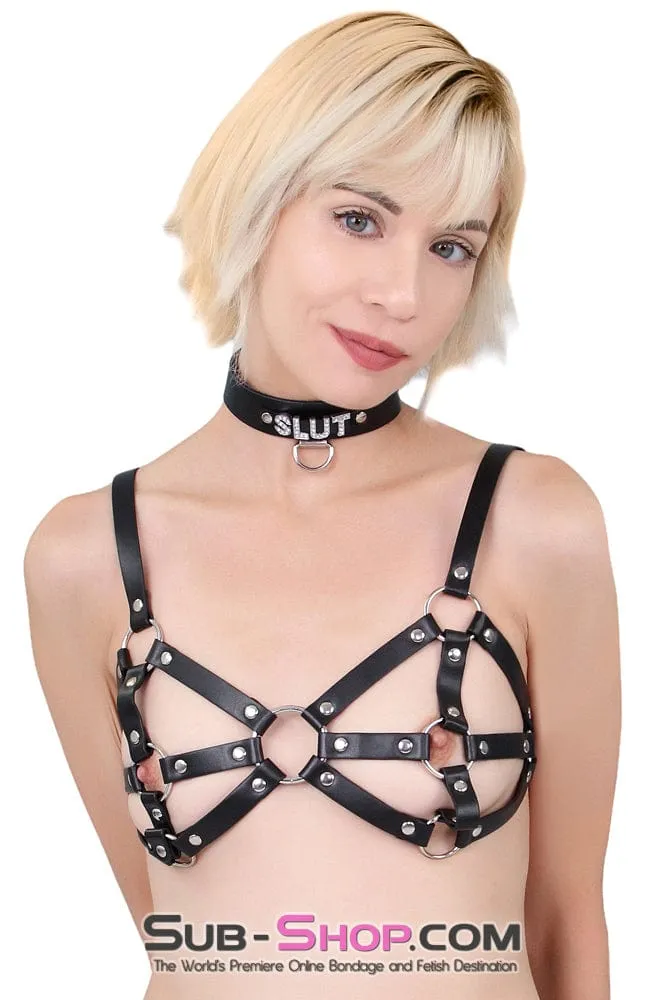 9897RS      Breast Cage Bondage Bra
