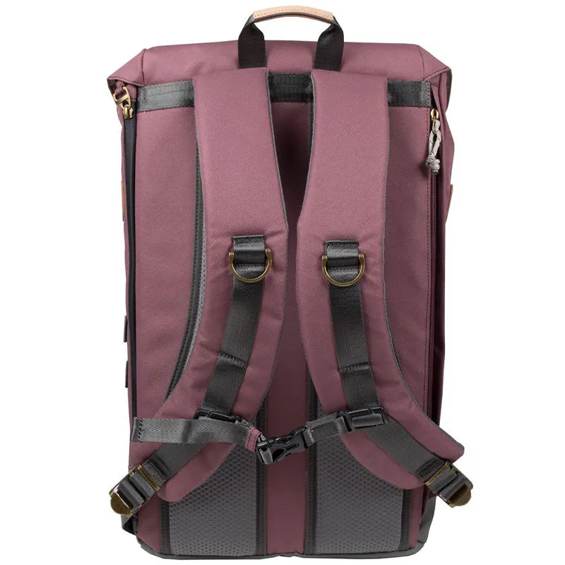 Colorado Reborn Plum