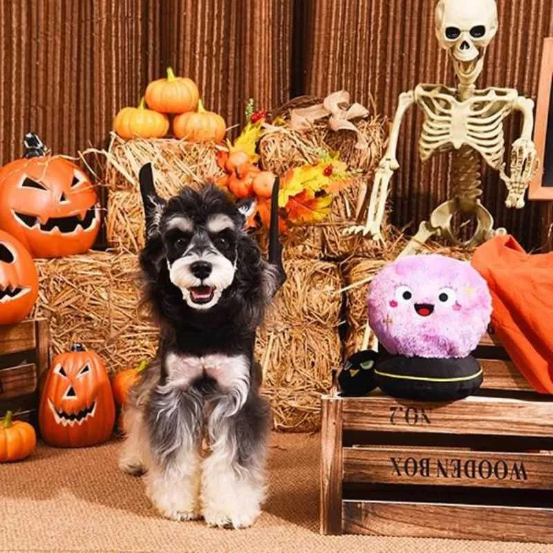 Crystal Ball Halloween Dog Toy