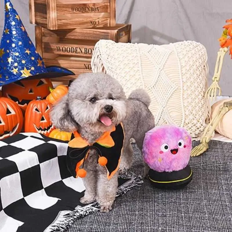 Crystal Ball Halloween Dog Toy