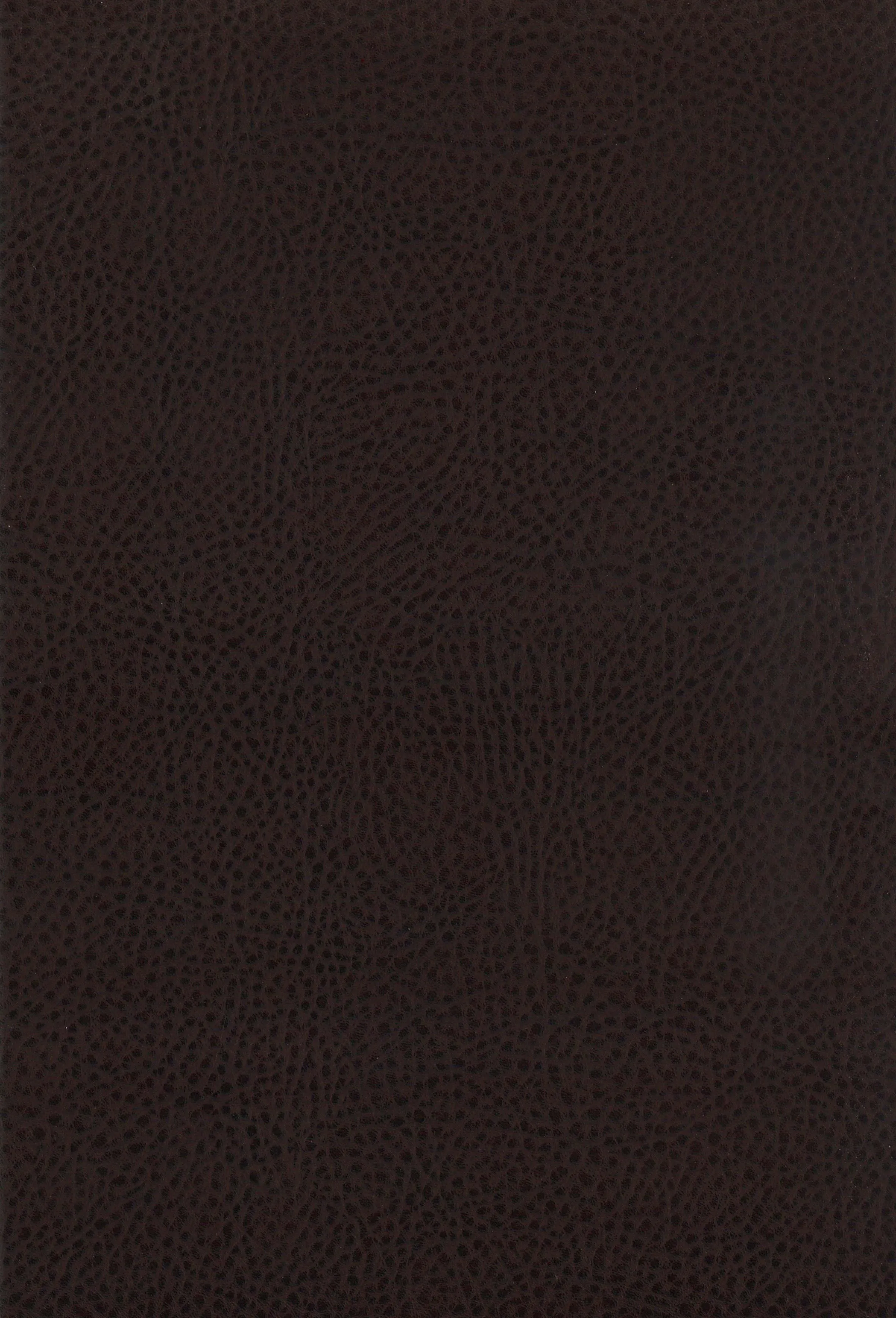Dewey Upholstered Counter Chair Walnut (Set of 2)