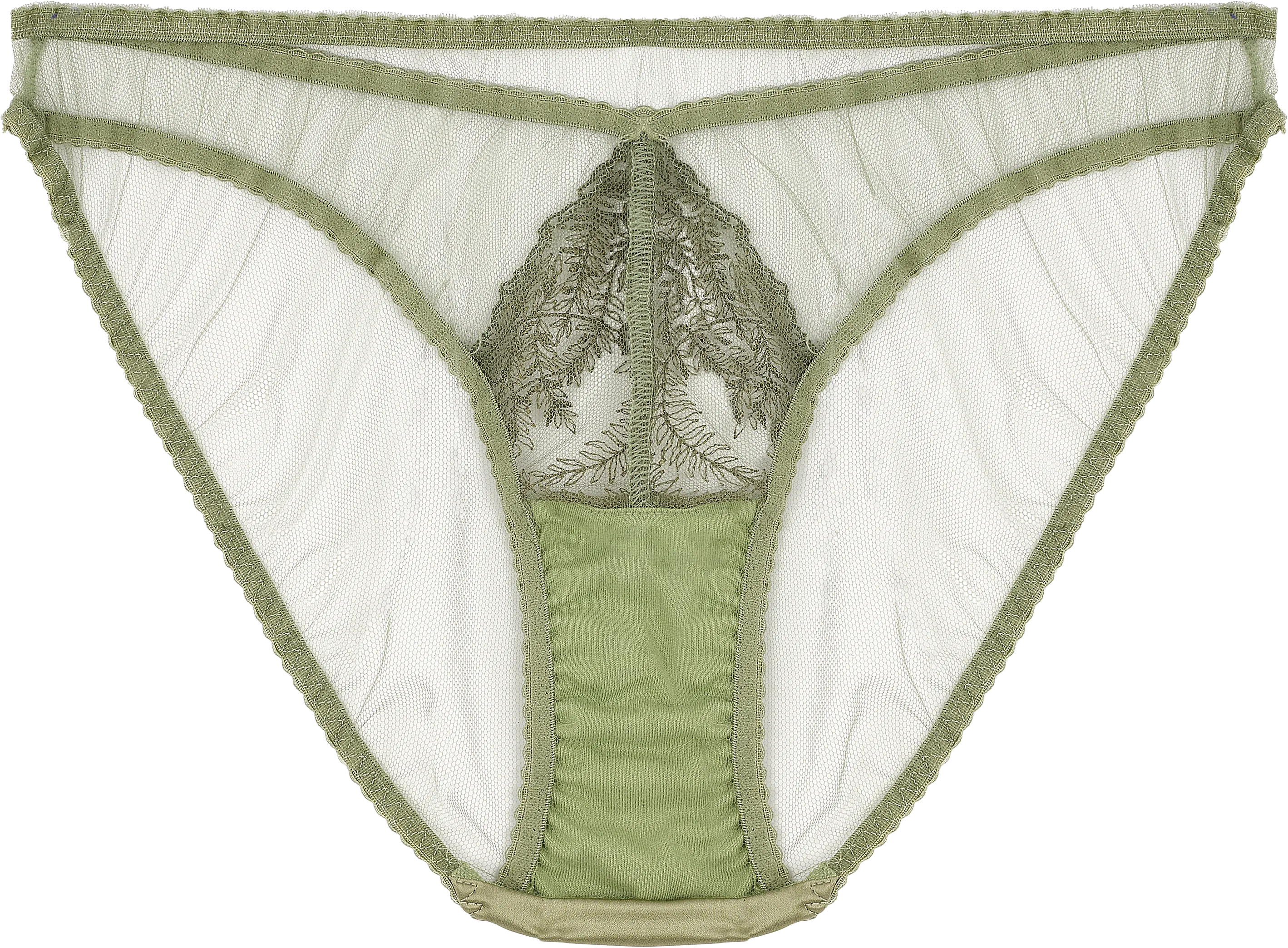 Fleur of England Arianna Briefs