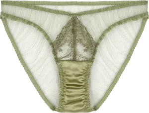 Fleur of England Arianna Briefs