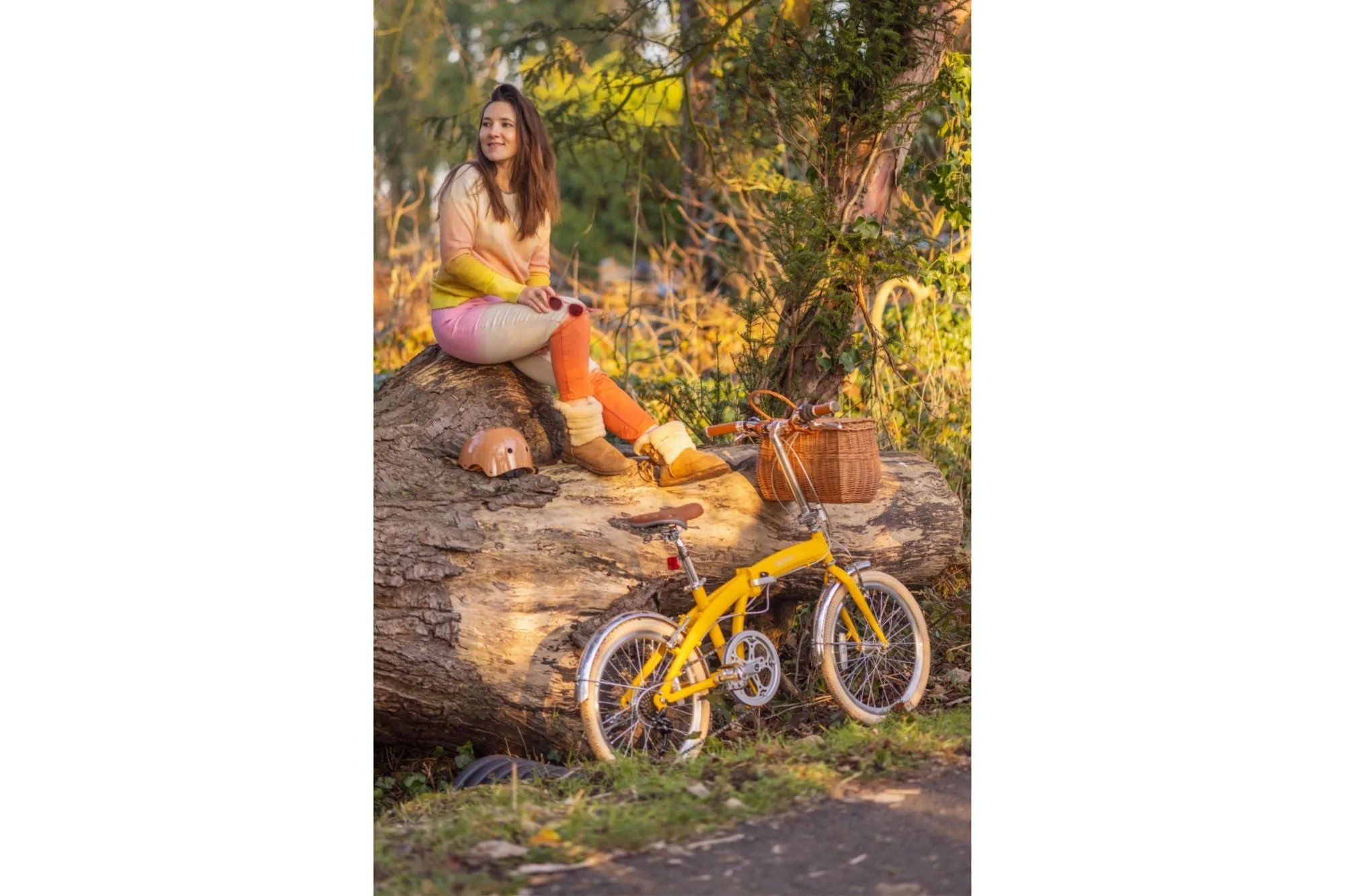 Fold Folding Bike