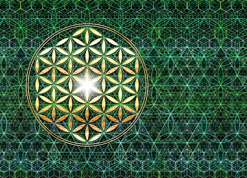 Golden Flower in the Garden of Life