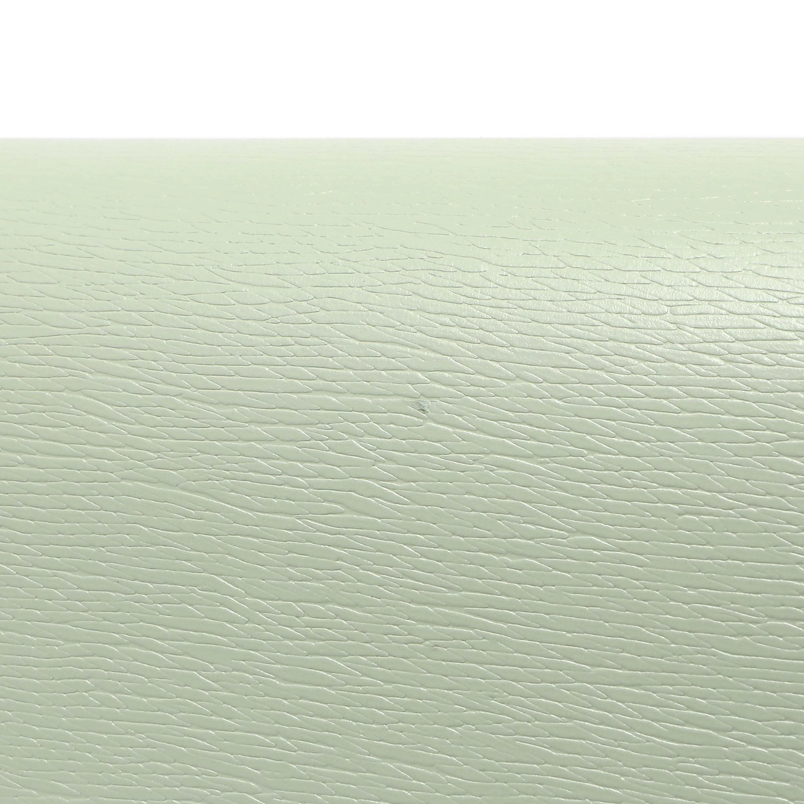 Gucci Pale Green Textured Calfskin Script Logo Chain Wallet