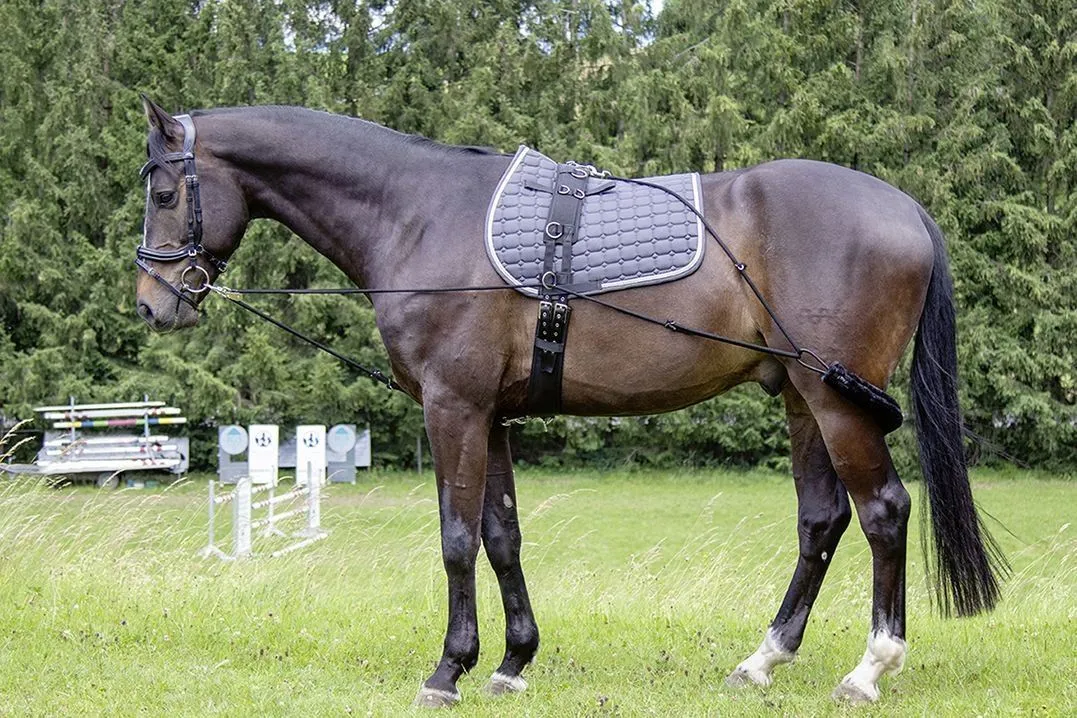 HKM Training Aid