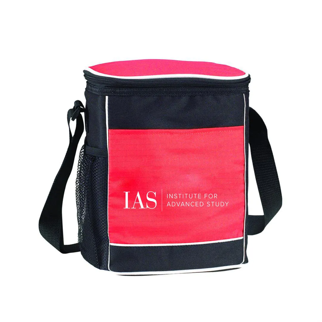 Insulated Cooler Bag (LC1)