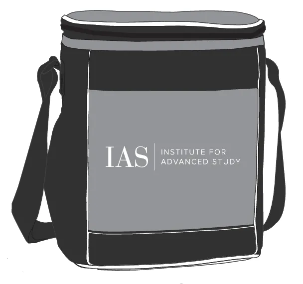 Insulated Cooler Bag (LC1)