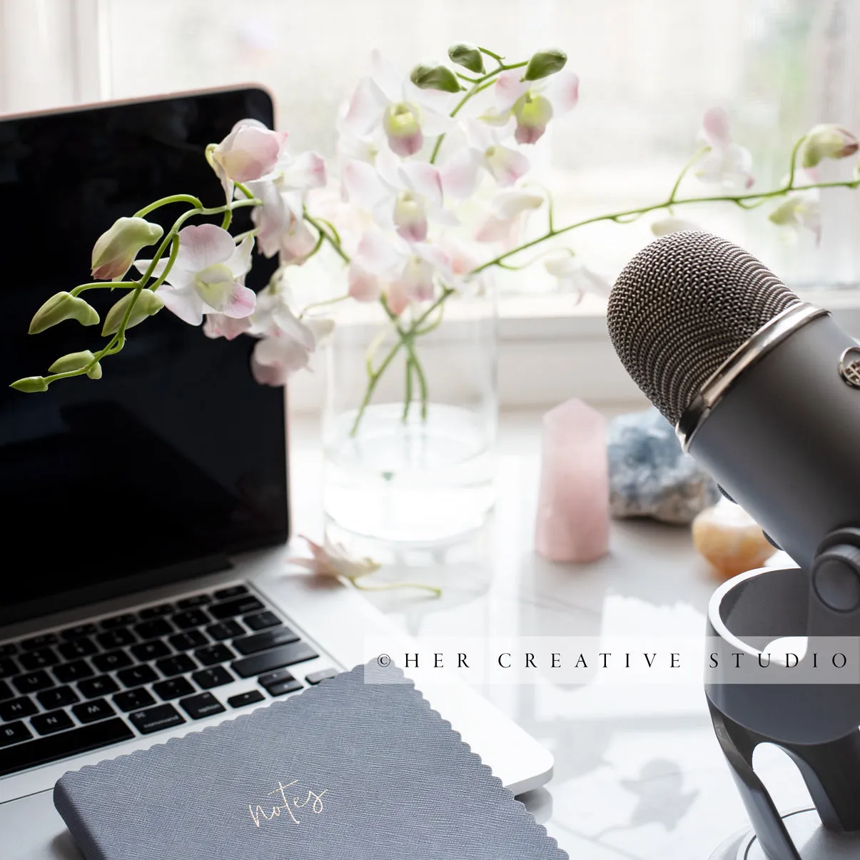 Laptop with Microphone 4