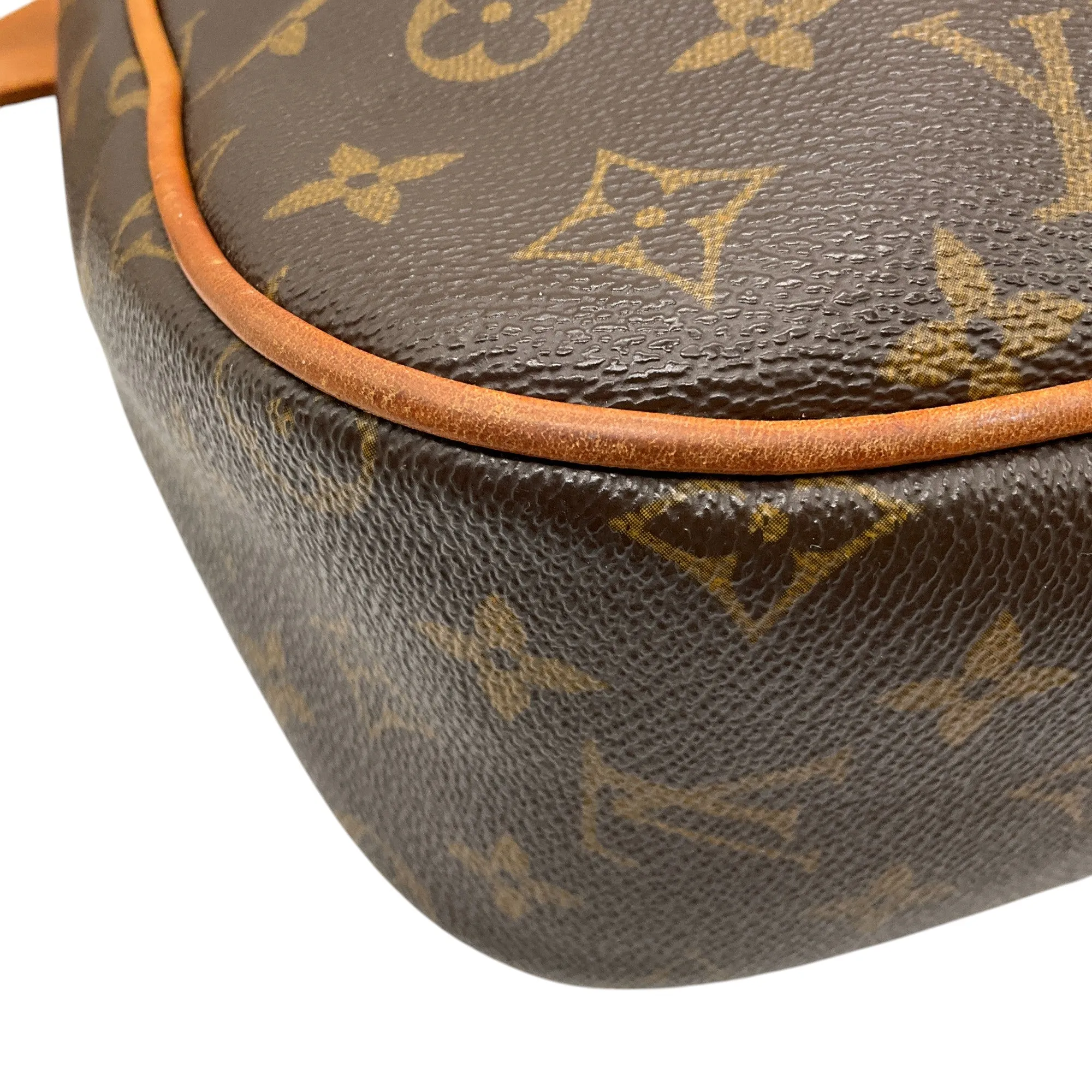 Louis Vuitton Brown Monogram Canvas Hudson GM Handbag