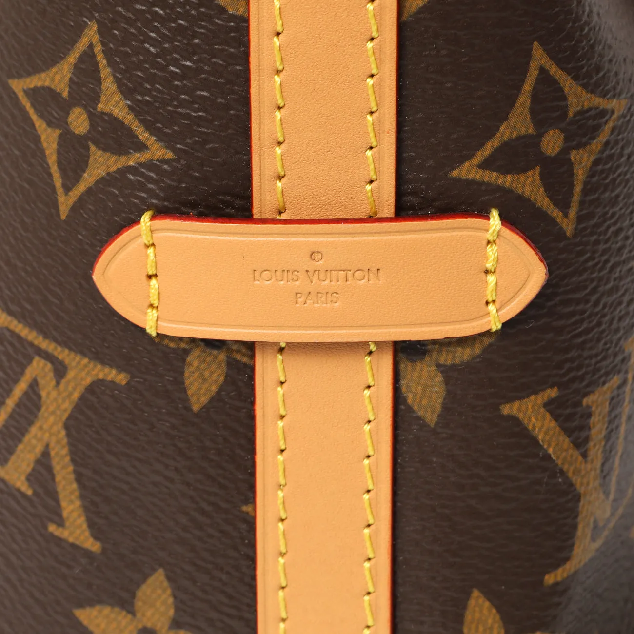 Louis Vuitton Monogram CarryAll PM