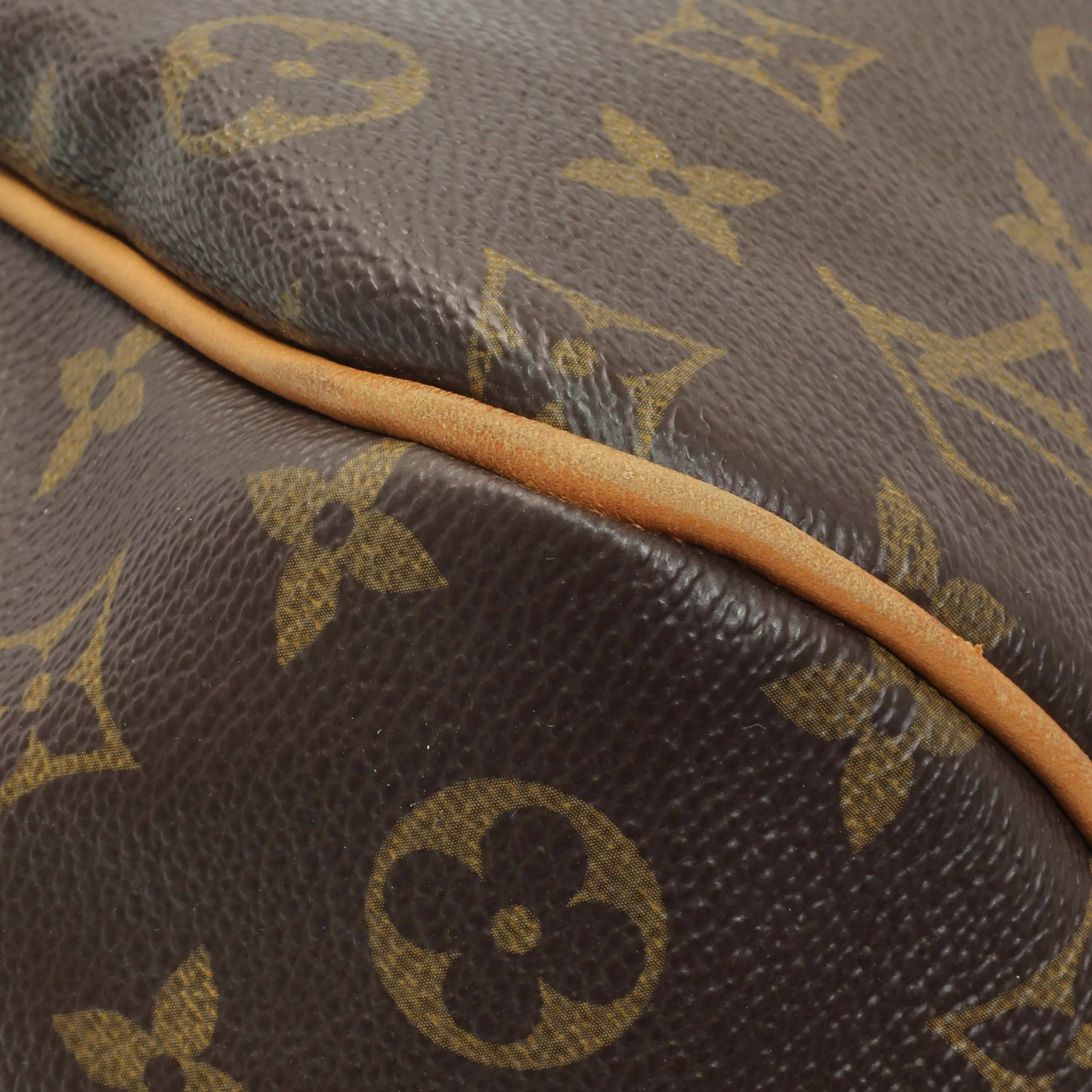 Louis Vuitton Monogram Delightful PM