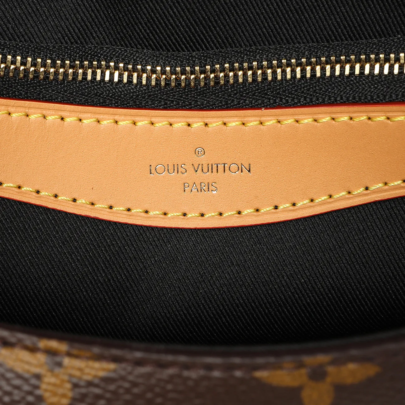 Louis Vuitton Monogram Diane