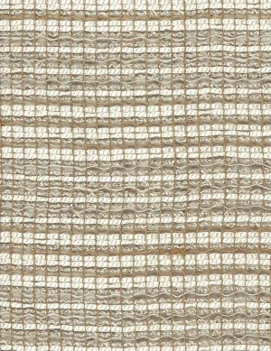 Mesh Around-cocoon
