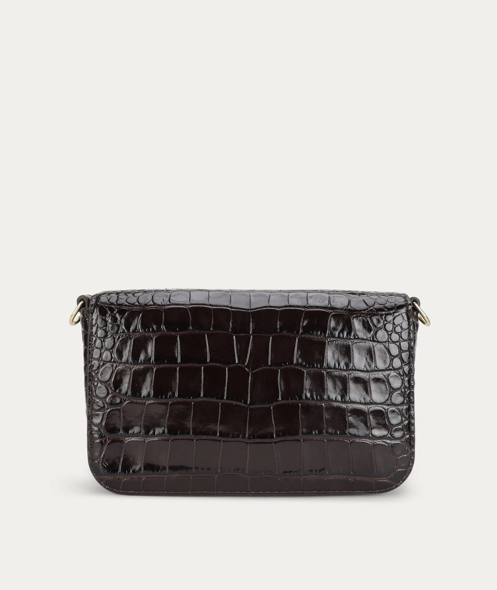 Mr D-Rex | Espresso Croc