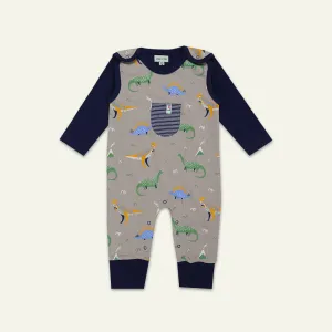 Multicoloured Dinosaur Print Top And Romper Set