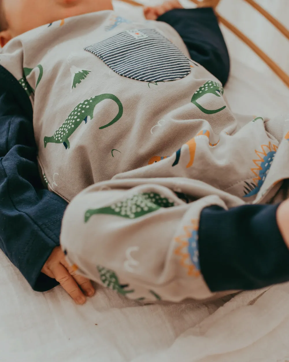 Multicoloured Dinosaur Print Top And Romper Set
