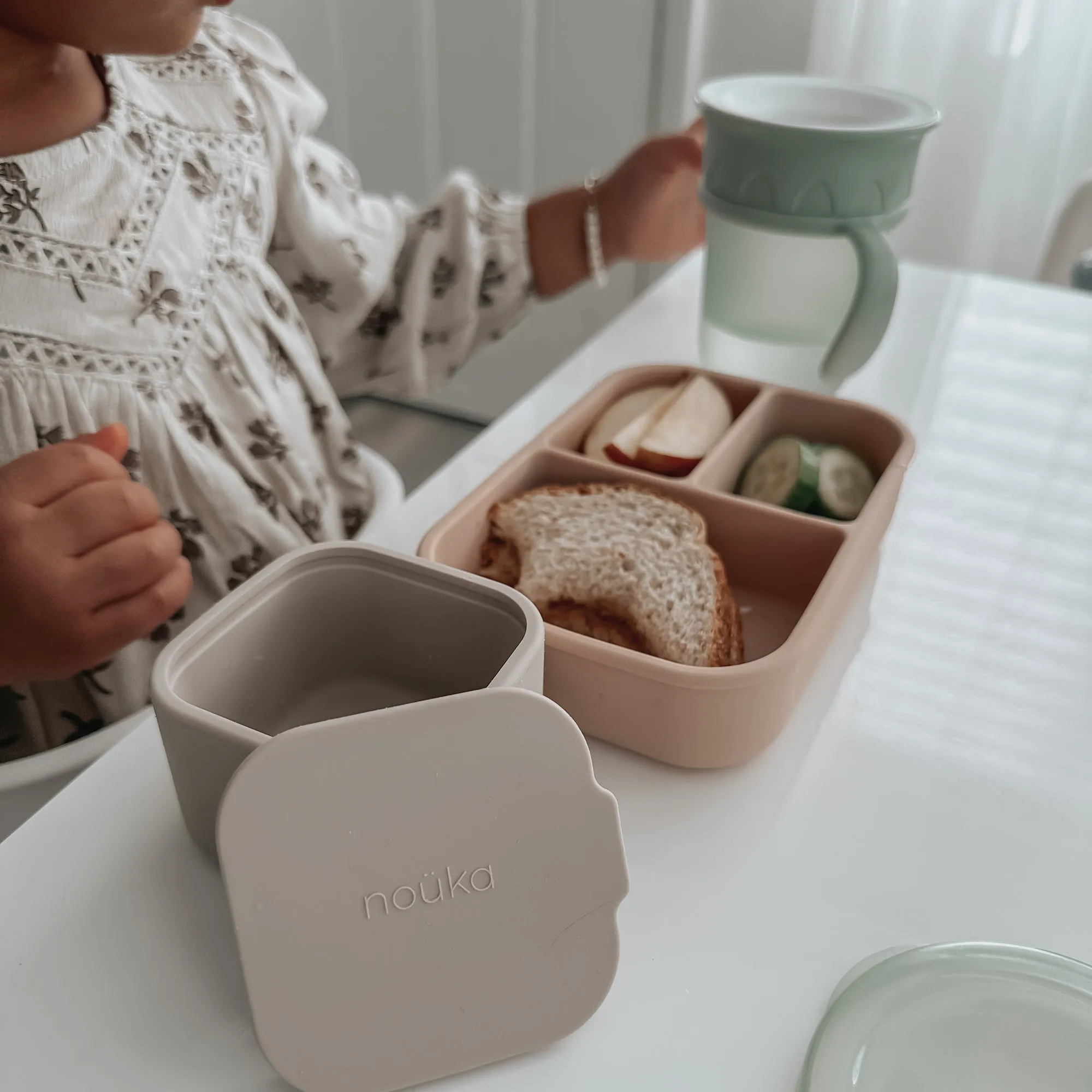 noüka All Around Cup - Fern (Min. of 2 PK, Multiples of 2 PK)