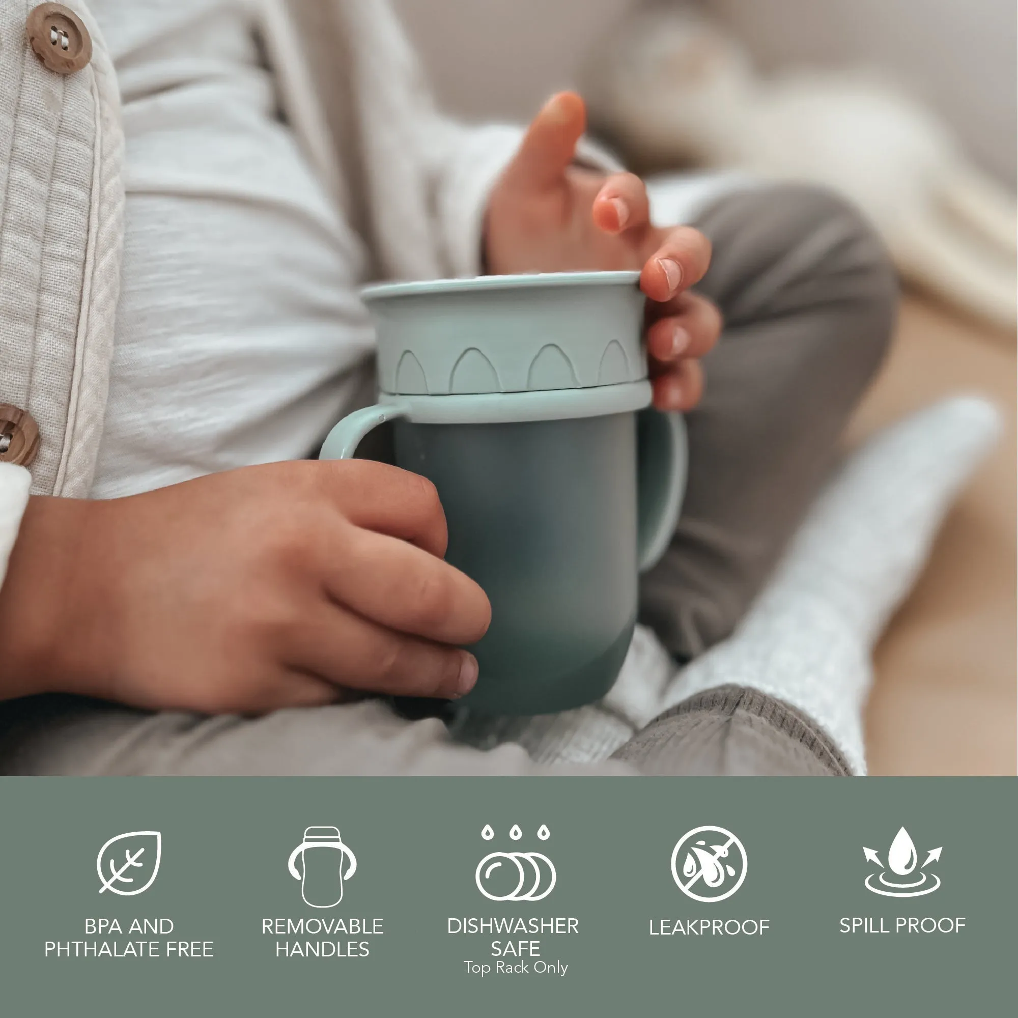 noüka All Around Cup - Fern (Min. of 2 PK, Multiples of 2 PK)