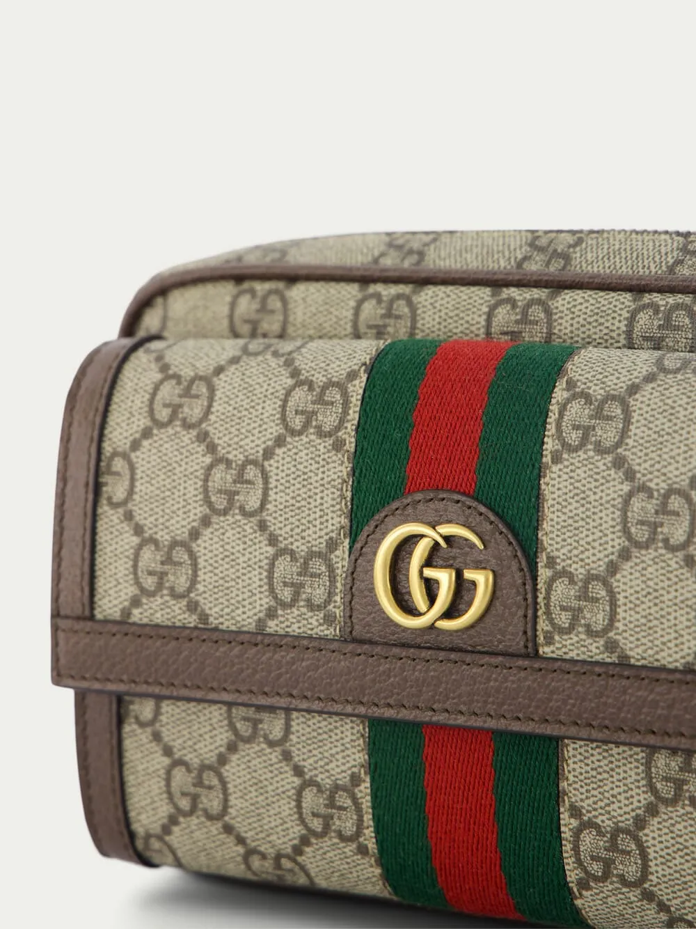 Ophidia GG Mini Bag