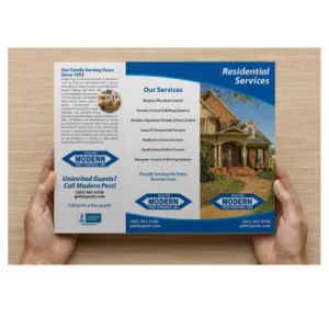 Pest Control Brochure Design