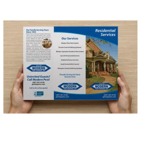 Pest Control Brochure Design