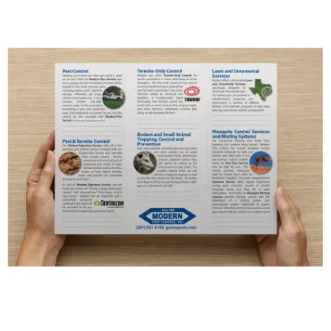 Pest Control Brochure Design