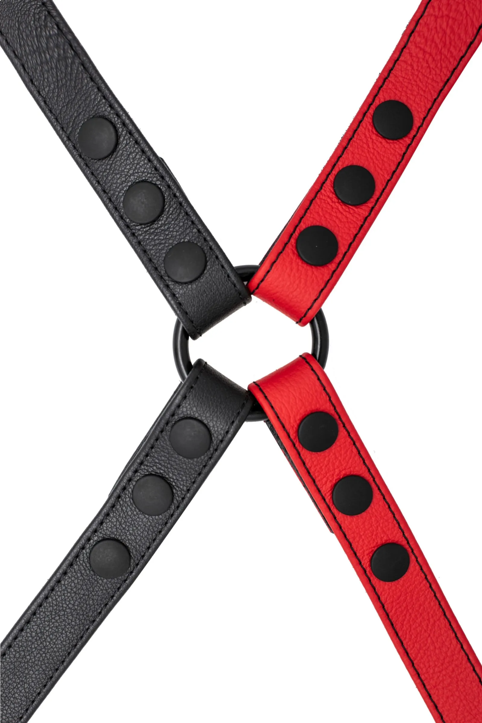 SHOULDER BUCKLE HARNESS - Colour