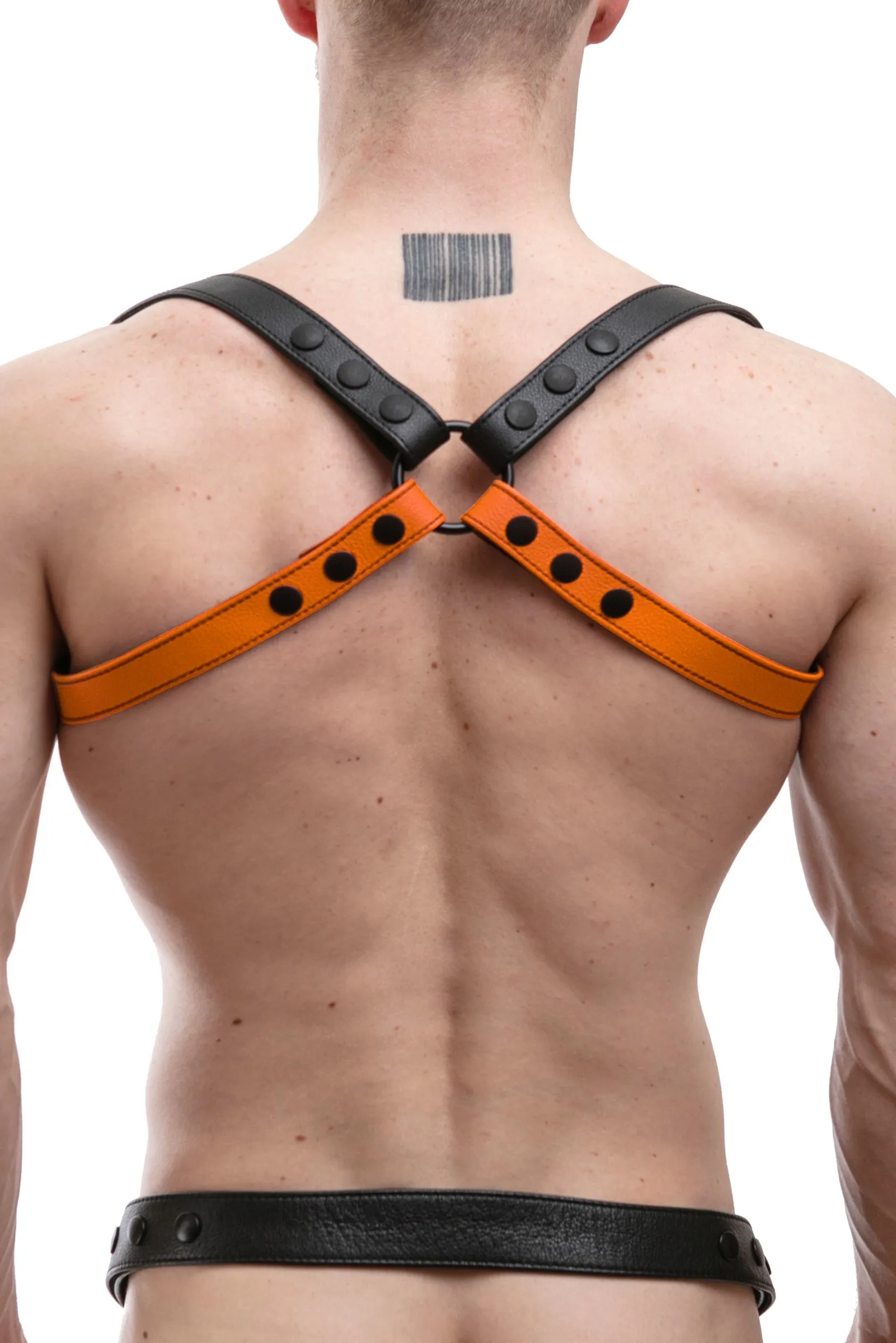 SHOULDER BUCKLE HARNESS - Colour