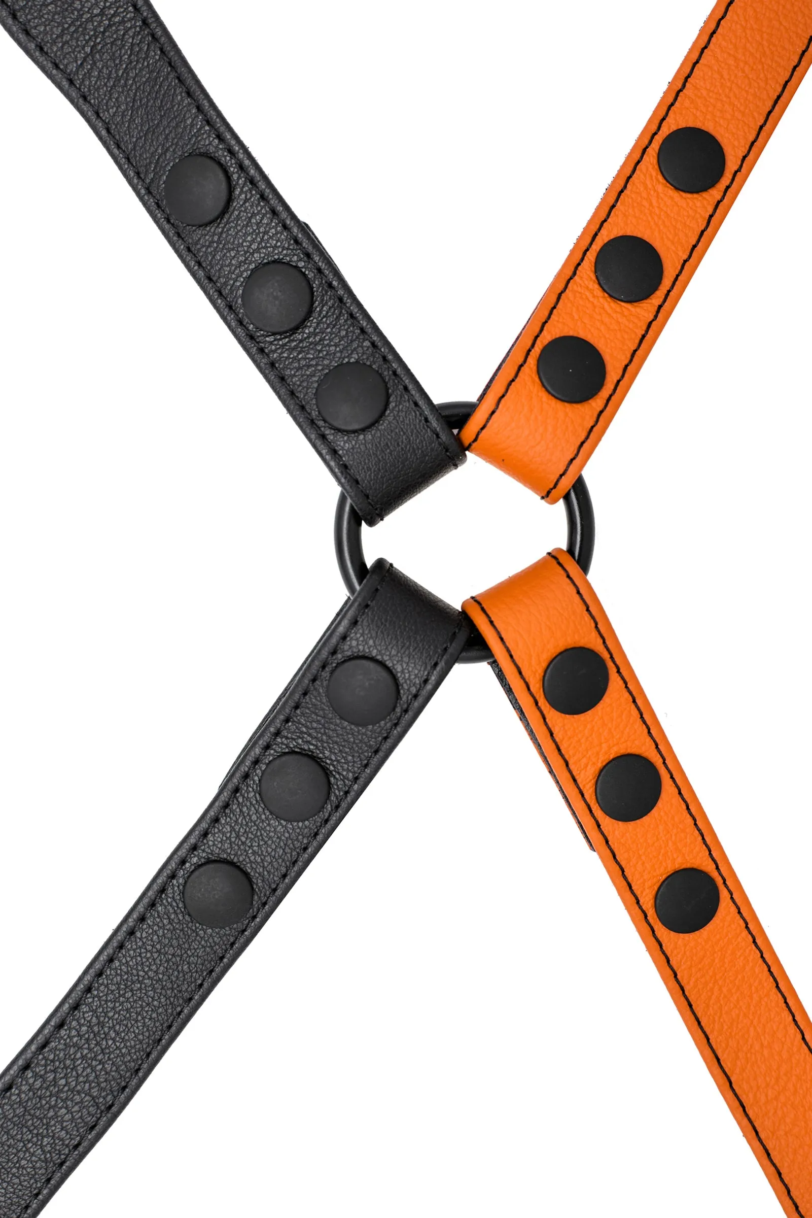 SHOULDER BUCKLE HARNESS - Colour
