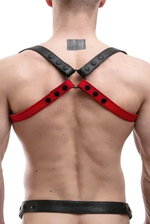 SHOULDER BUCKLE HARNESS - Colour