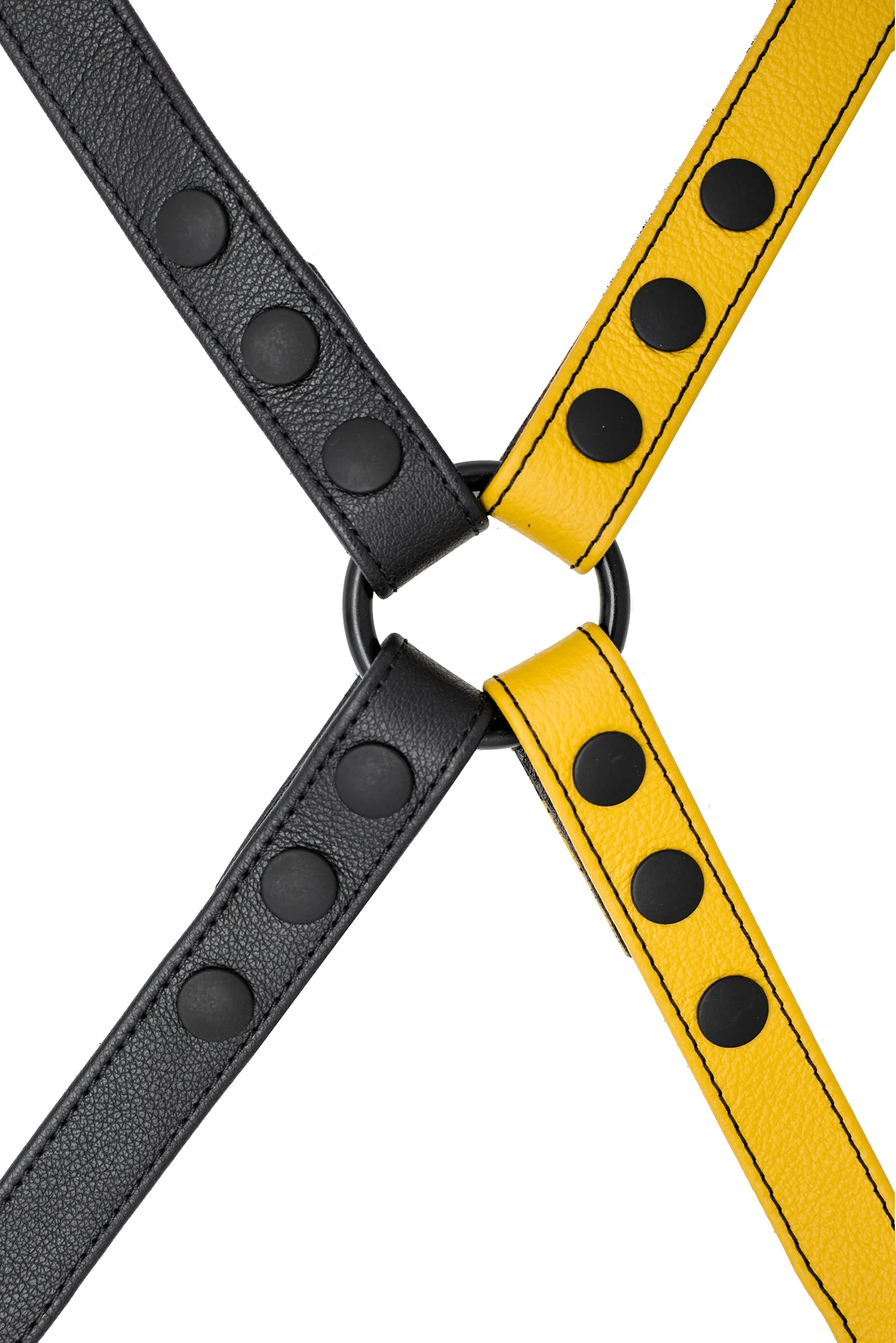 SHOULDER BUCKLE HARNESS - Colour