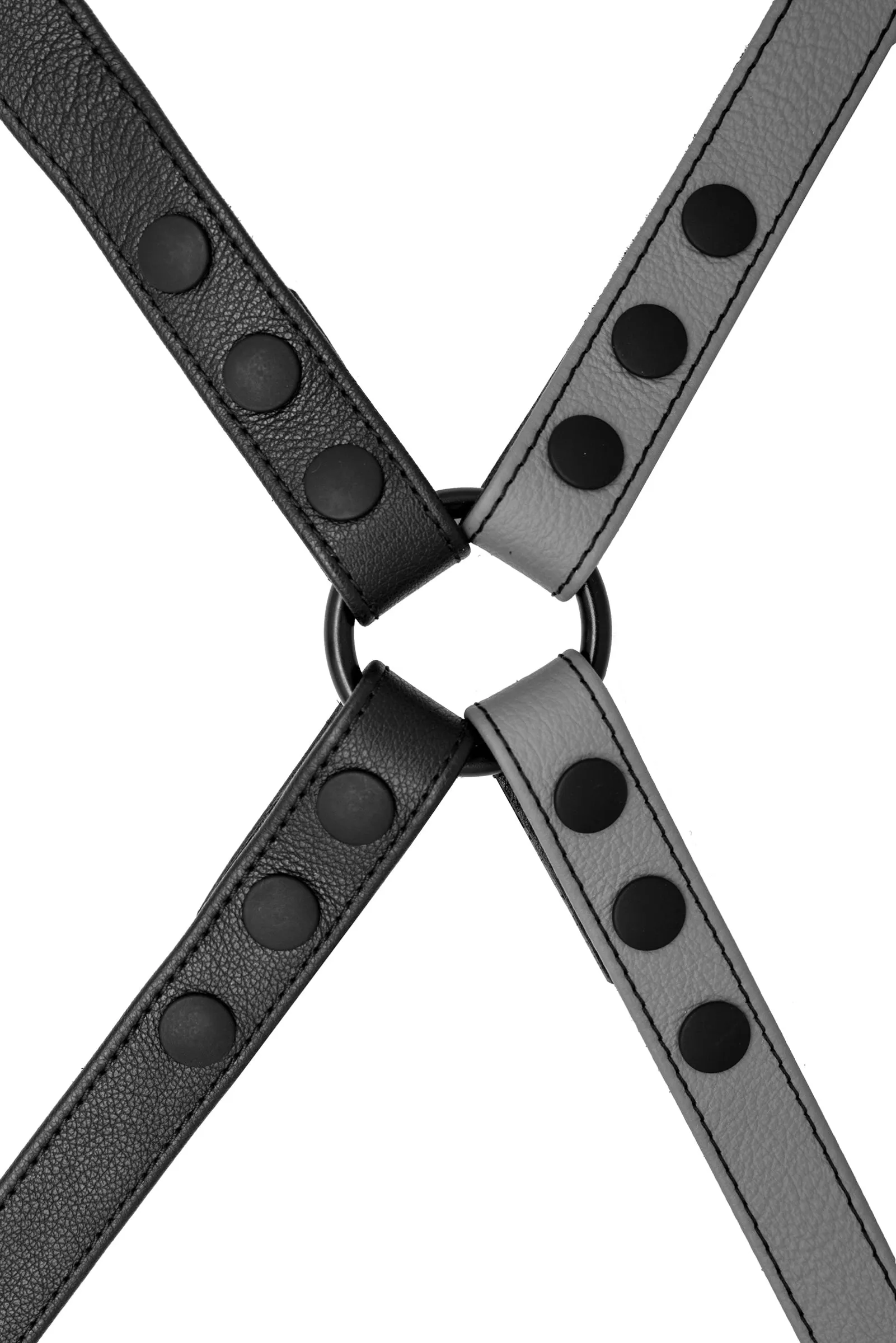 SHOULDER BUCKLE HARNESS - Colour