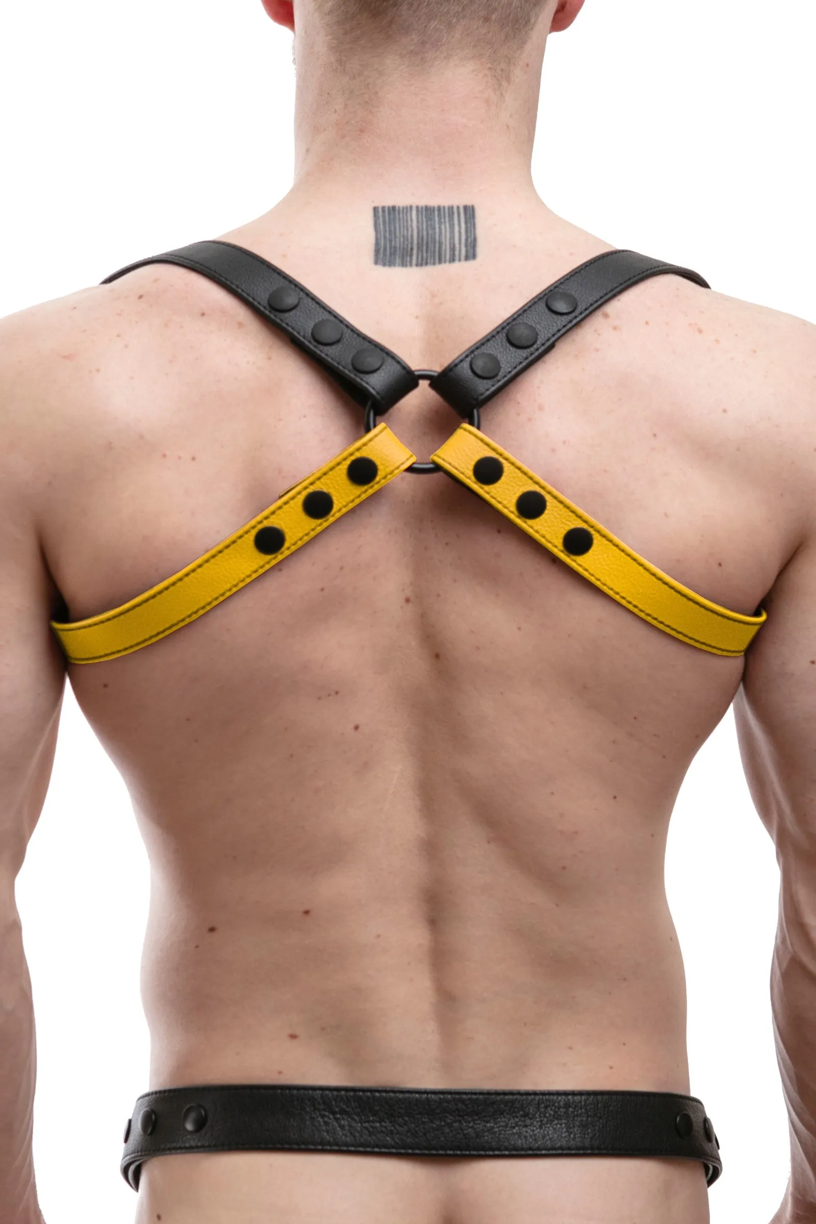 SHOULDER BUCKLE HARNESS - Colour