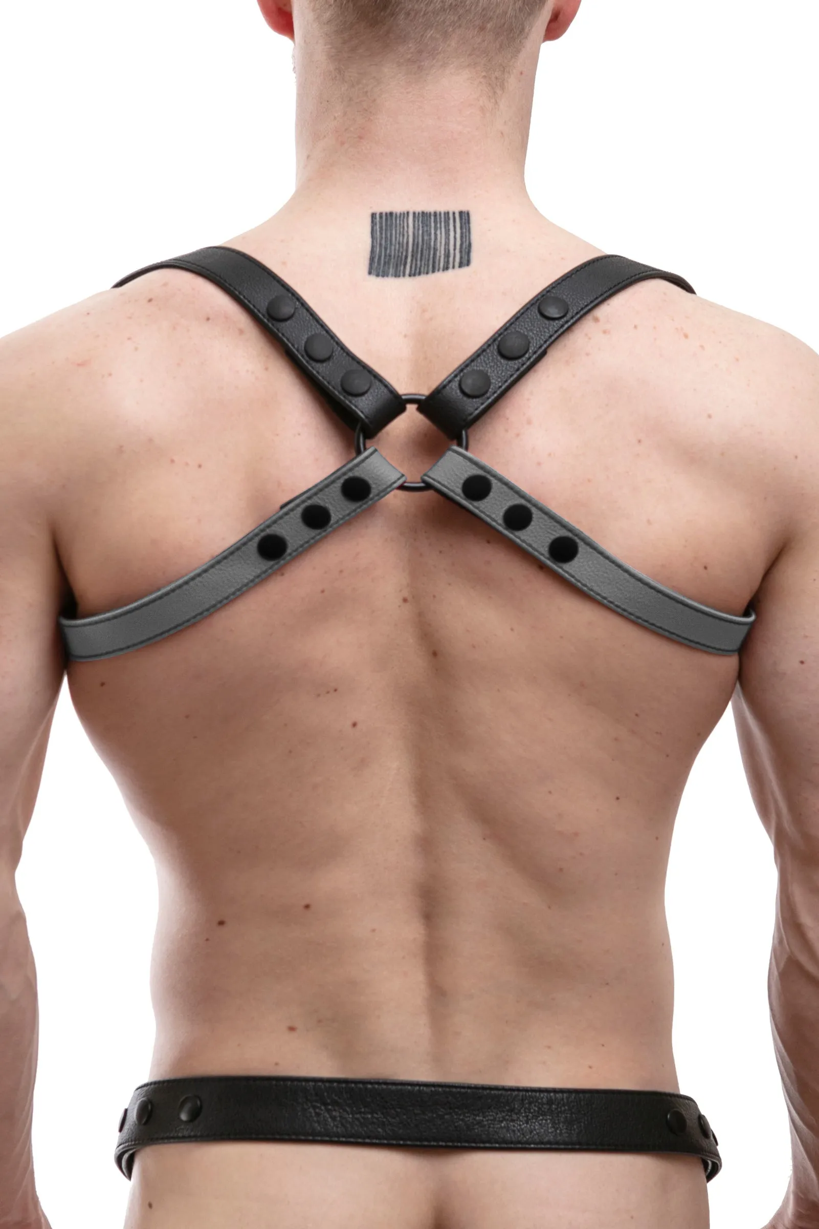 SHOULDER BUCKLE HARNESS - Colour