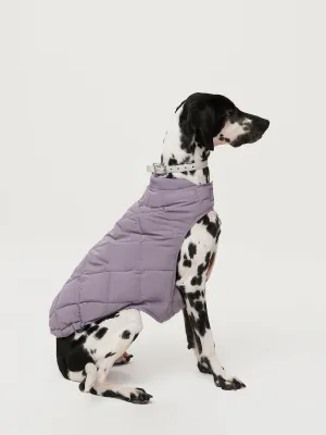 The Skyline Dog Jacket in Slate Violet