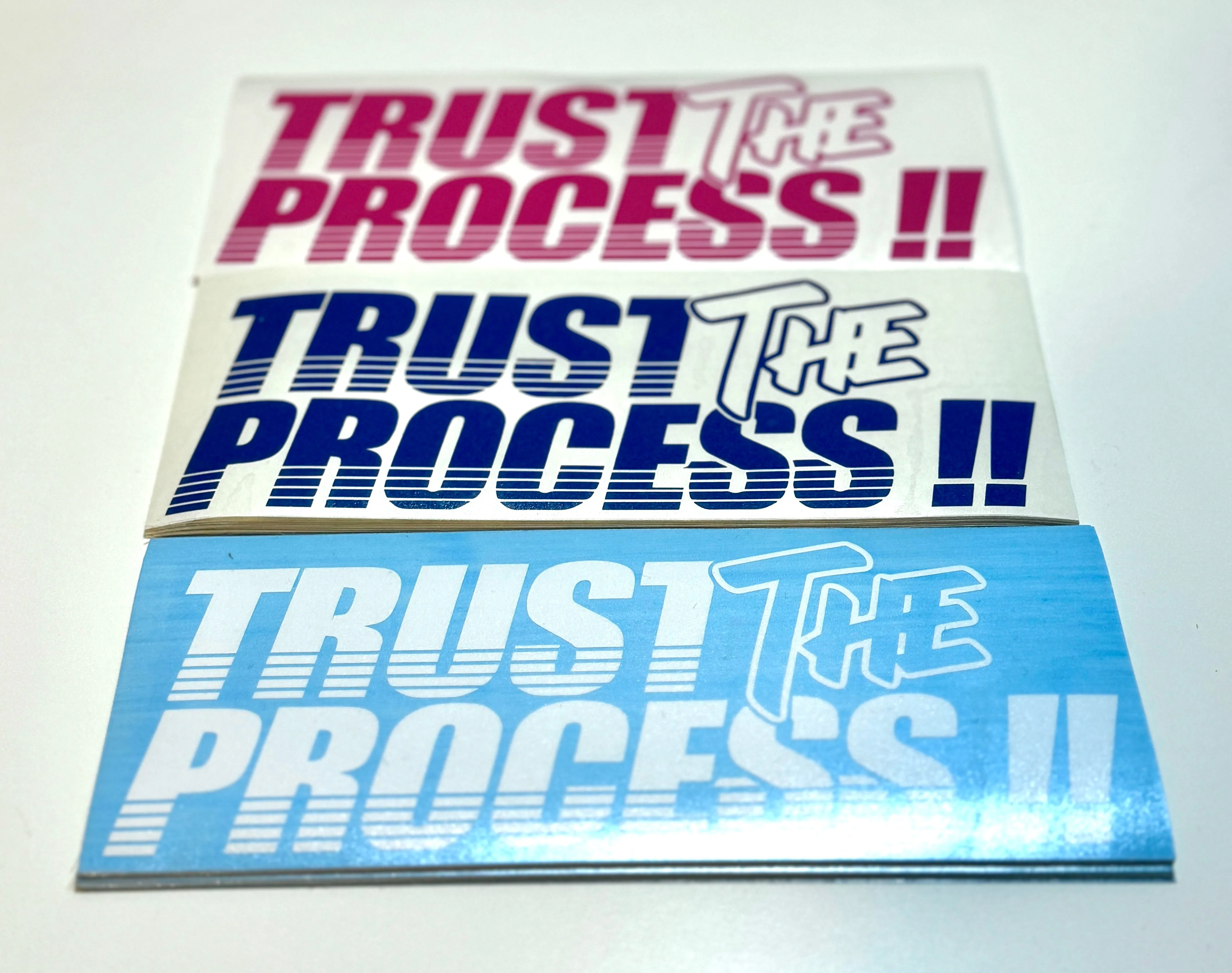 Trust The Process Sticker