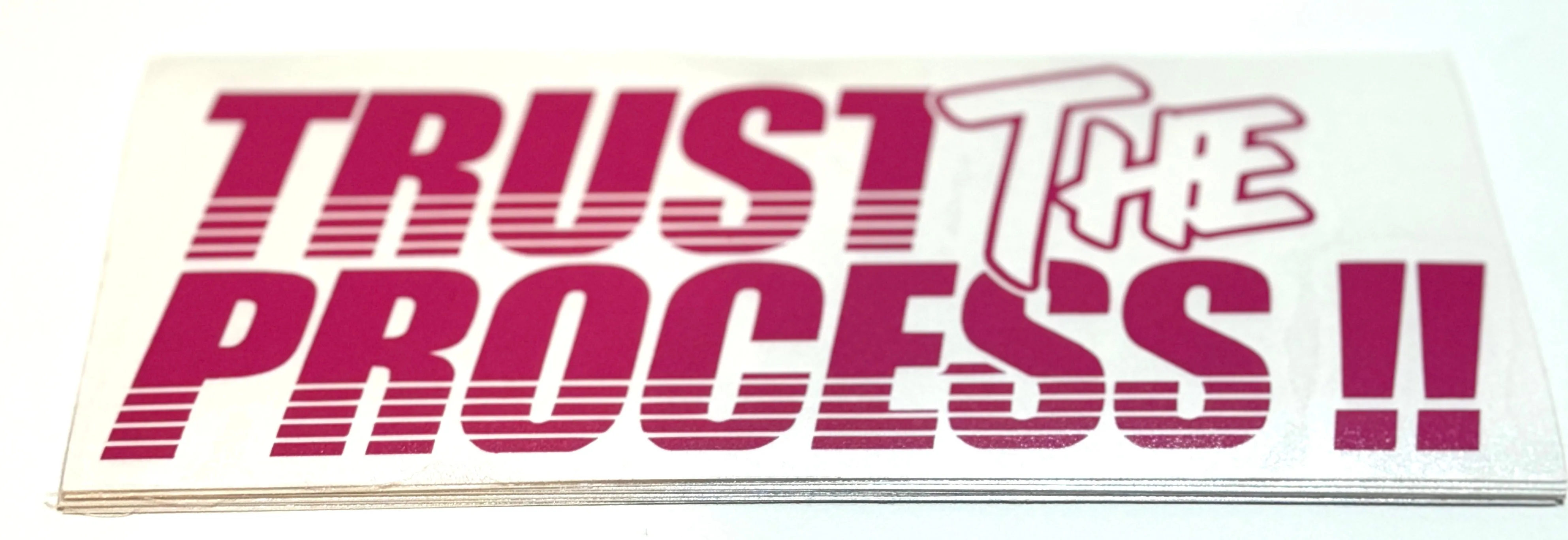 Trust The Process Sticker